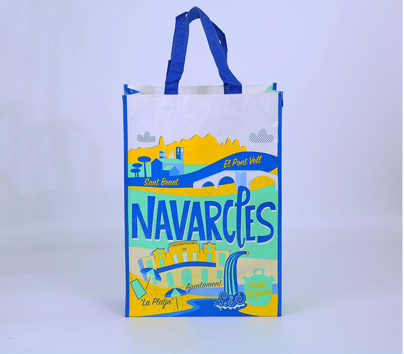 PP woven bag(Raffia)